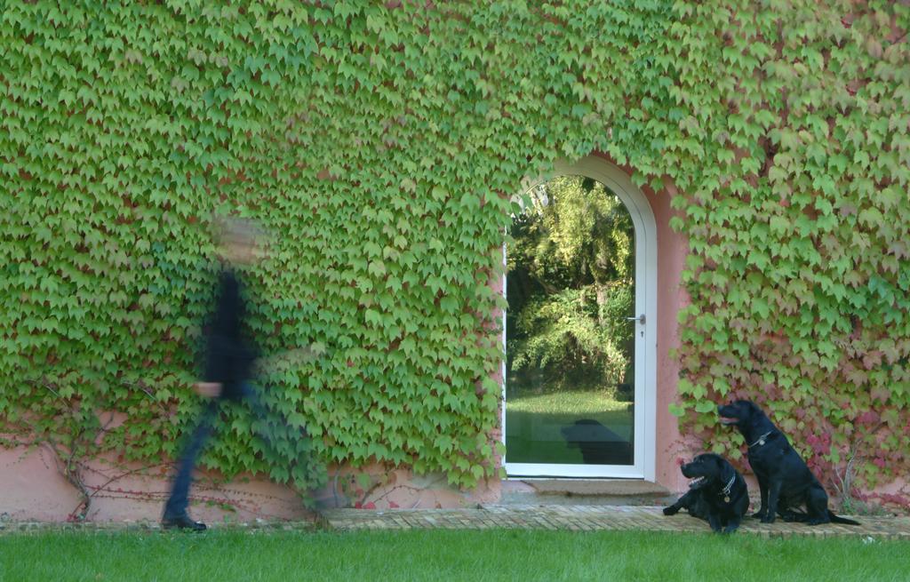 Le Versegge Resort Braccagni Ruang foto
